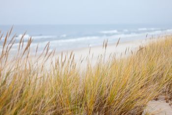 Ostseestrände Mecklenburg-Vorpommern