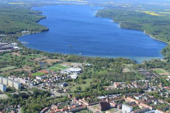 Anmeldung Neubrandenburger Tollenseseeschwimmen Neubrandenburg
