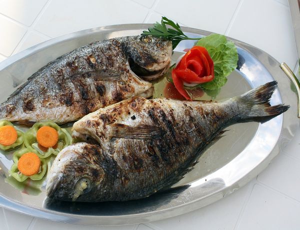 Müritzfischer Fischerei Müritz-Plau ausgezeichnet