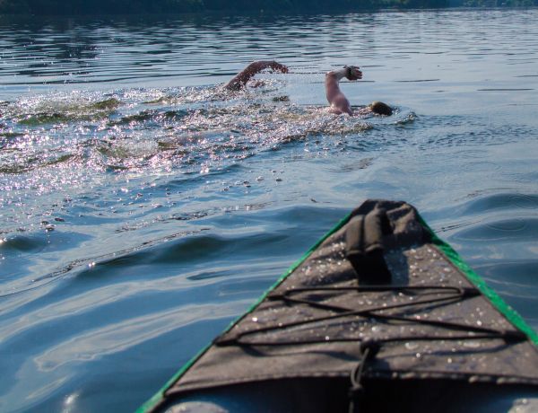 Kalorienverbrauch beim Schwimmen