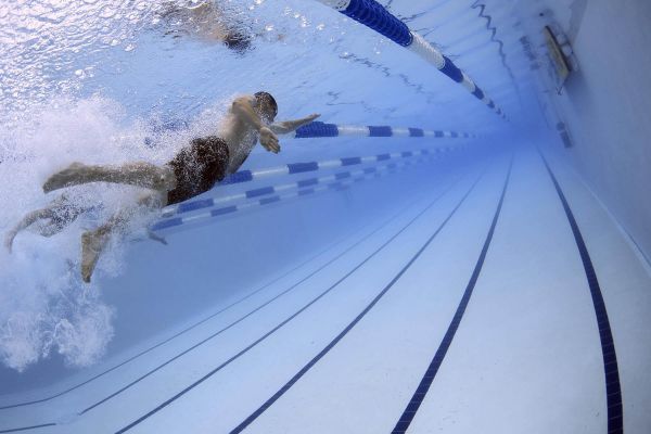 Öffnungszeiten Schwimmhalle Neubrandenburg Neubrandenburger Schwimmsportverein Delphin