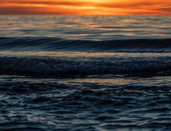 Extremschwimmerin Nathalie Pohl