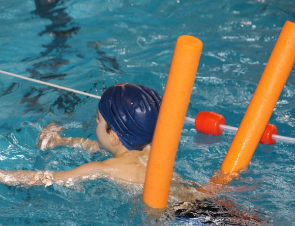 Schwimmen lernen Mecklenburg-Vorpommern