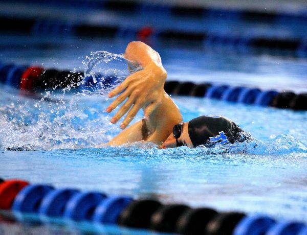 Kalorienrechner Brustschwimmen Fettverbrennen